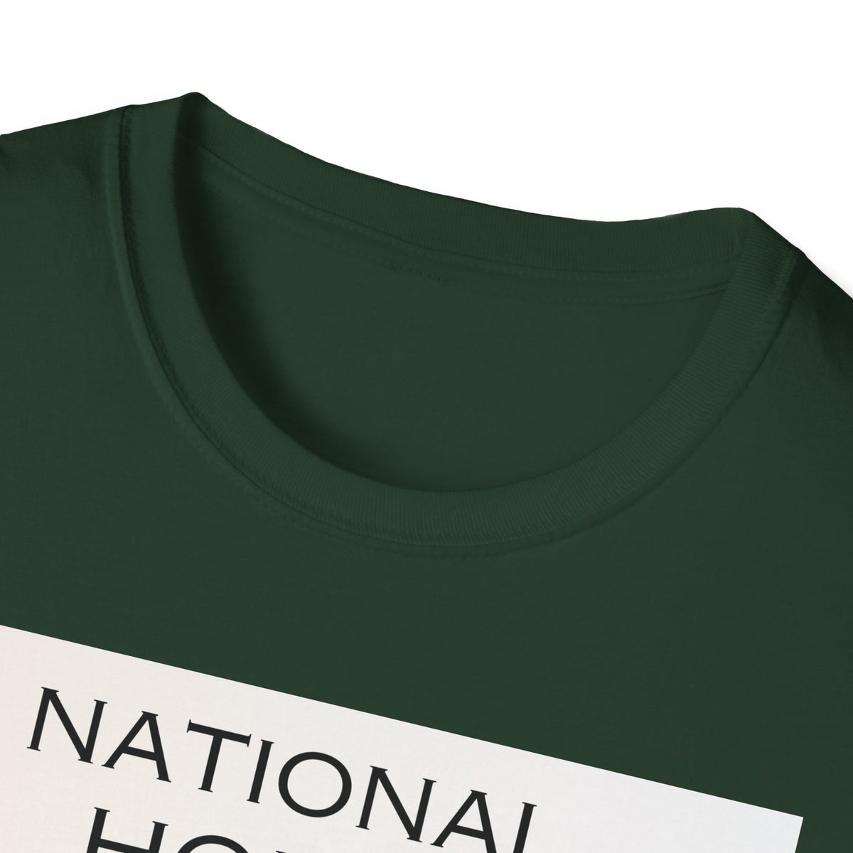 National Horse Day Horse T-Shirt