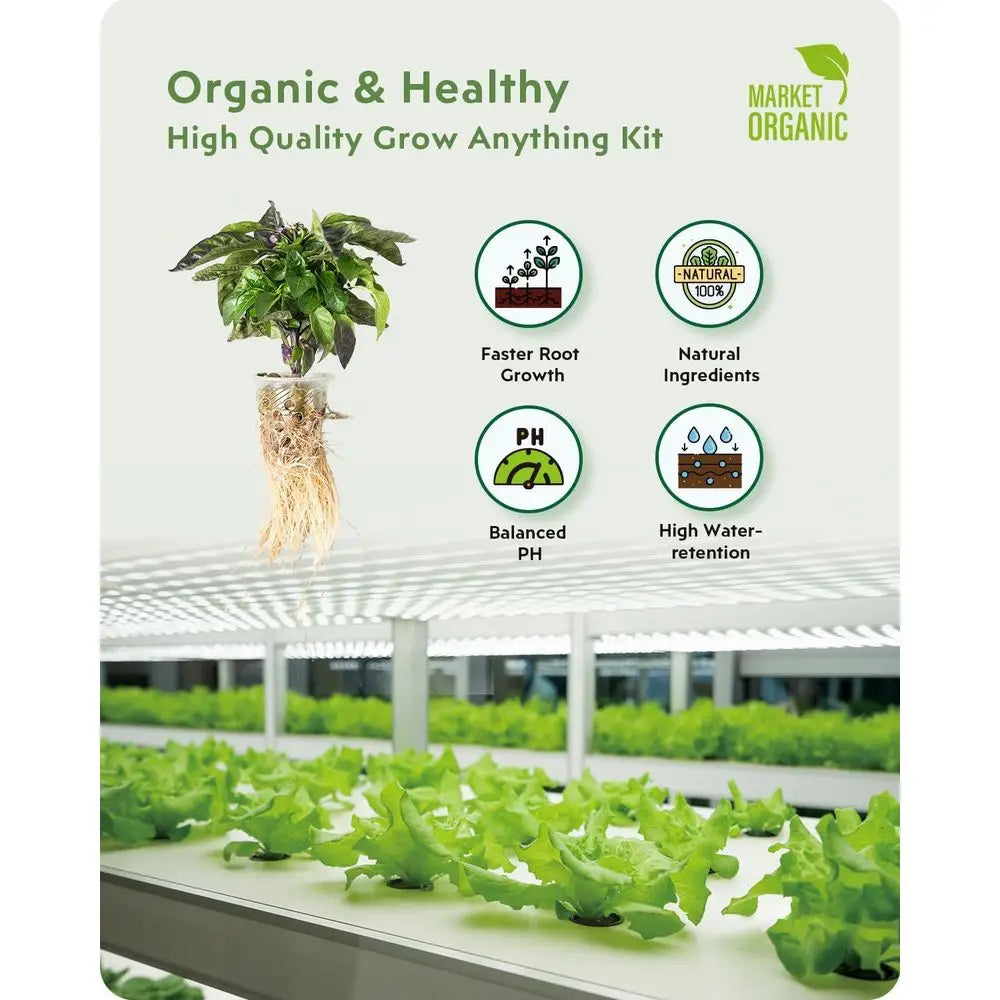 140-Piece Hydroponic System: AeroGarden-Compatible, Herb Kit Essentials - Sponges, Baskets, Domes, Labels